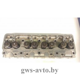 Головка блока цилиндров(ГБЦ) УМЗ, ГАЗ 4216-1003010 Евро-2 общая (в сборе с клапанами)